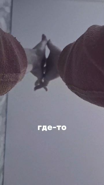 Как только доходит до склейки выкройки 😅 #sewing #топ #шв?
