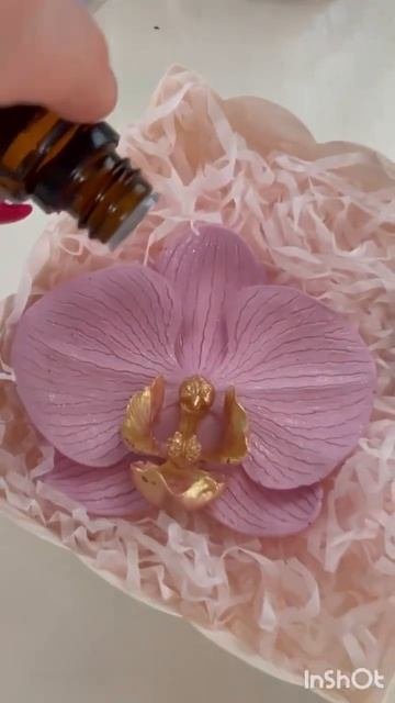 Эфирные масла доТерра в диффузорах