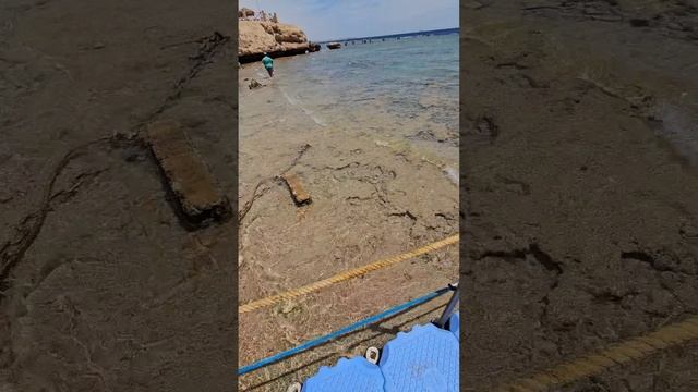 Отель Safir Sharm Waterfalls 5*, Египет май 2025 год, 1001 тур и Пегас туристик молчат о ремонте.