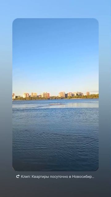 В парке Арена теперь живут не только утки :) #новосибирск