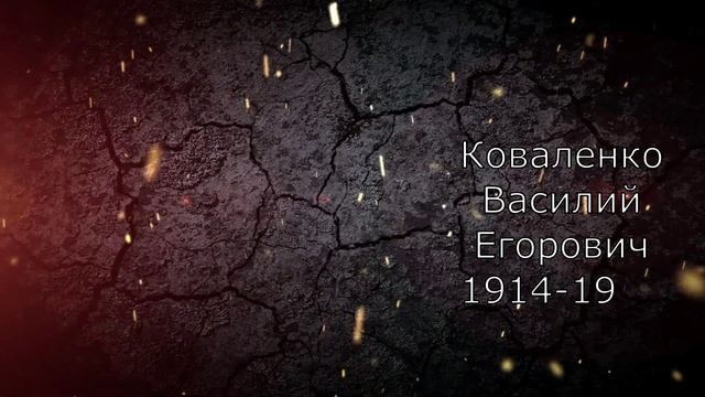 бессмертный полк МБДОУ дс 489