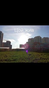 Цой жив