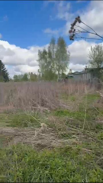 WhatsApp Video 2025-05-11 at 21.53.01