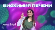 БИОХИМИЯ ПЕЧЕНИ