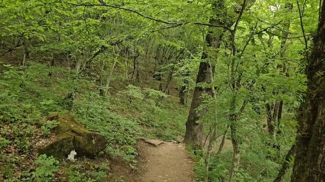 Экскурсия к дольменам вдоль реки Жане,Геленджик