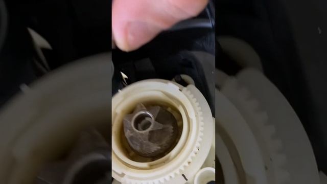 Вода в кофемолке 💦 попала вода в кофемолку DeLonghi