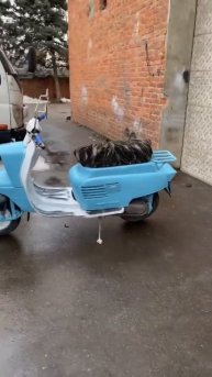 Вятка автомат ретро #moto