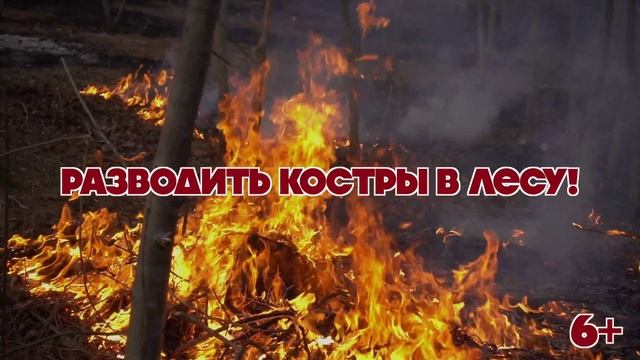 Правила пожарной безопасности в лесу