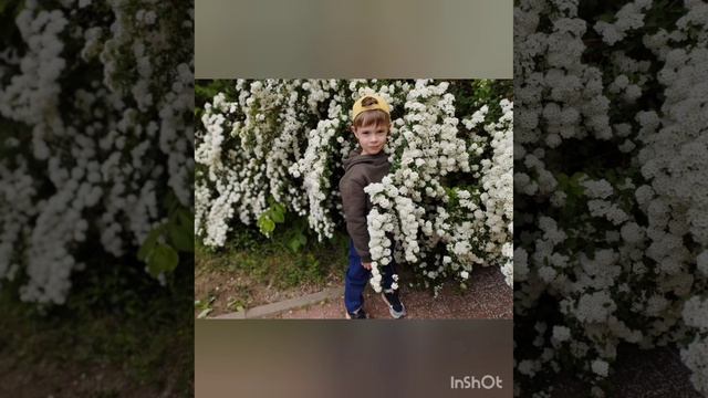 Цвет настроения группы "Непоседы" 
Воспитатели: ЕмельяноваА. И. Иванова Е. И.