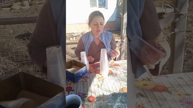Подготовка контейнеров для высадки сладкого перчика ?