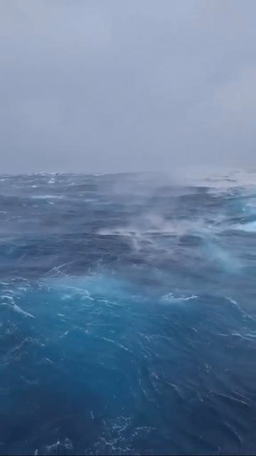 Представь, что ты здесь заблудился