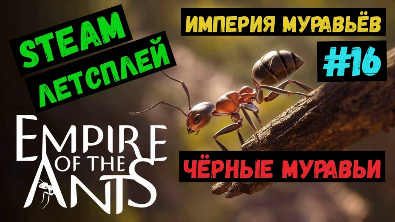 Чёрные муравьи  / Empire of the Ants / Империя Муравьев / Steam ЛЕТСПЛЕЙ / GAMEPLAY / #16