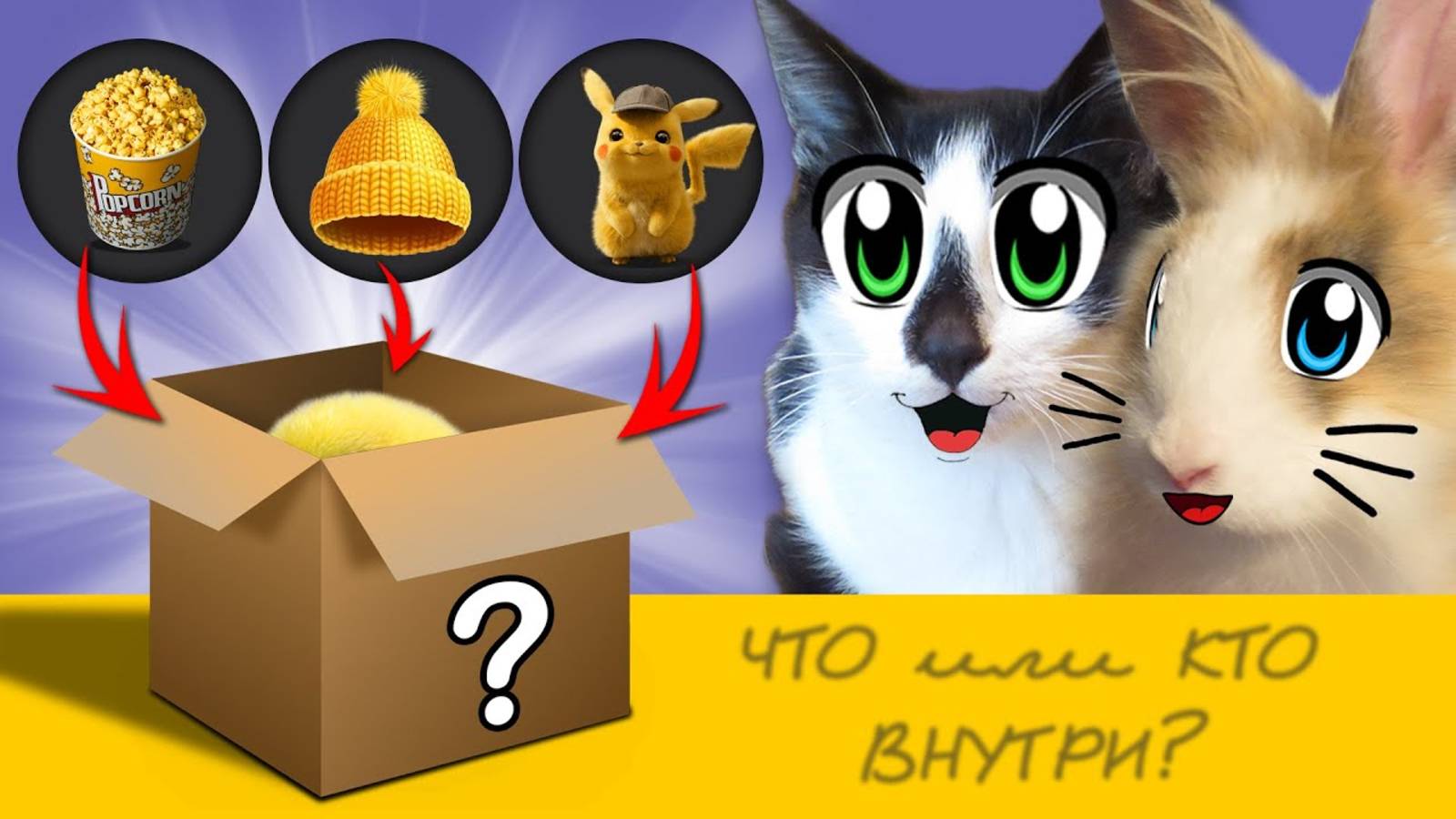 НОВЫЙ ПИТОМЕЦ в СЕМЬЕ А НУ КА ДАВАЙ КА ! КТО в КОРОБКЕ 24 ЧАСА следим ЗА новеньким! ВЫБИРАЕМ ИМЯ