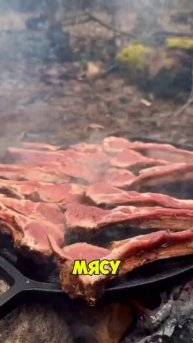 Сочный ужин на костре — мясо, картошка и салат прямо н?