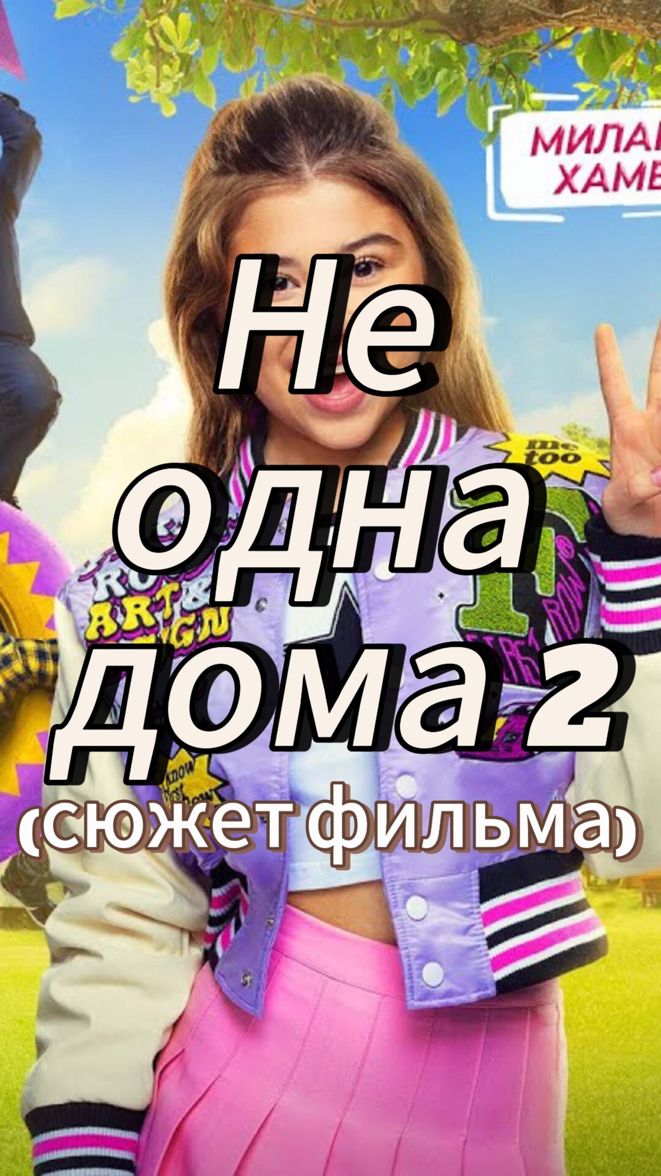 Не одна дома 2 (сюжет фильма)