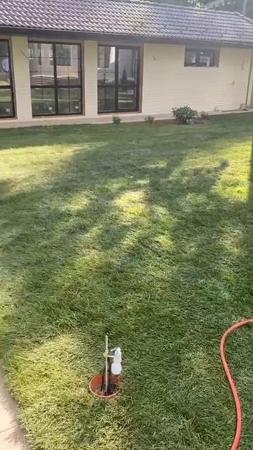 -8133631040897156636