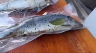 Сельдь Атлантическая слабосолёная