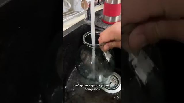 Целая чаша сока, полученного из одного-единственного апельсина.