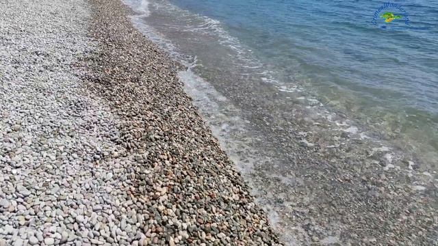 Чистейшая вода_Галечный пляж Карасан