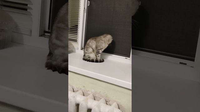 1000000118.mp4