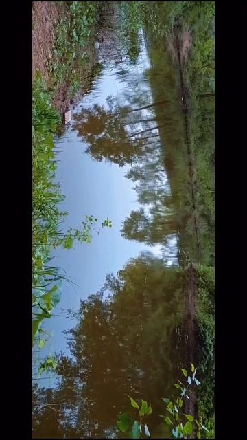 ТГК: nata_natad✨