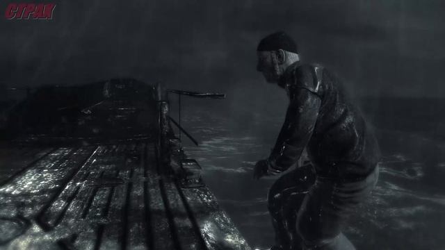 Dark Sector