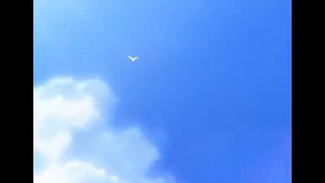 ТОП 10 малоизвестных аниме жанра романтика / драма