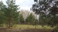 Дворцовая слудка Пермский край