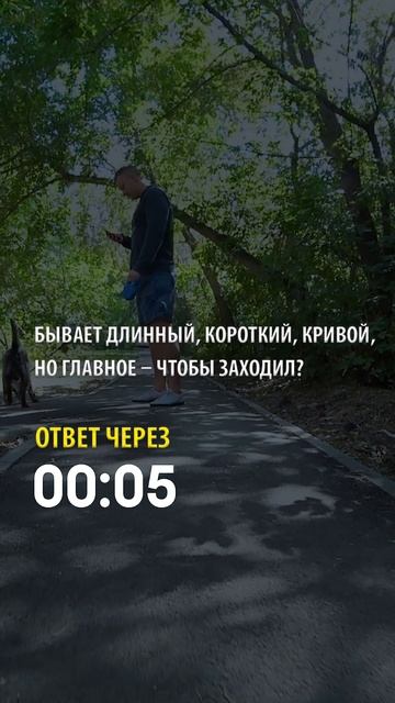 Проверь свой IQ