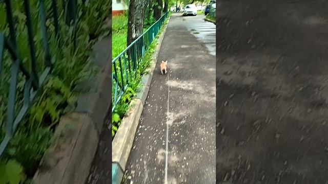 Дружочек Сеня😍