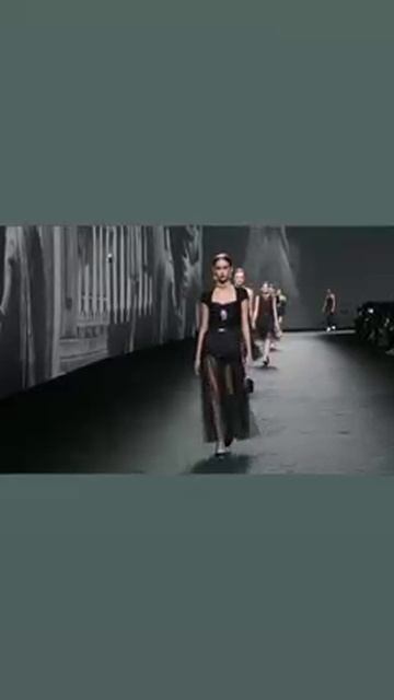 Мир домашних питомцев – Серия 484: Забавные и милые моменты