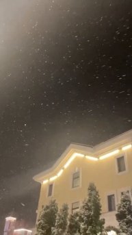 РОЗА ХУТОР А СНЕГ ИДЁТ ❄️❄️❄️#shorts