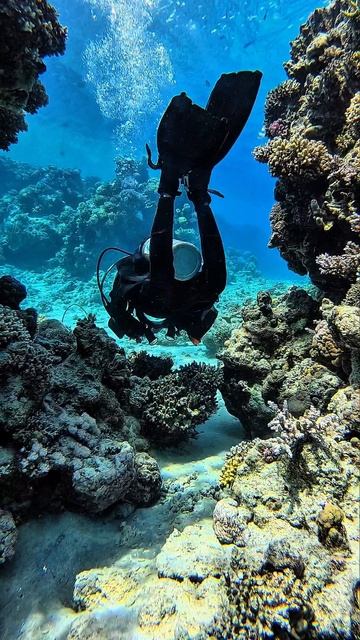 Its own atmosphere. Guide Joseph. /
Своя атмосфера. Проводник Джозеф.

Sharm Wave Diving - Continent