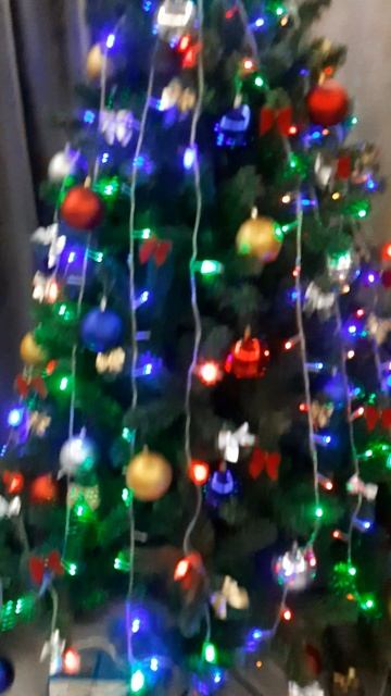 20241218_185605.mp4