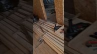 1000023515.mp4 (Собака смотрит на электроснабжение нового дома А-фрейм)