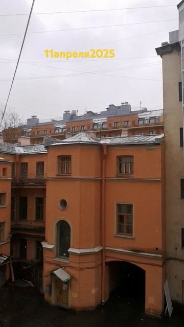Аномальная погода в Петербурге// 11.04.2025