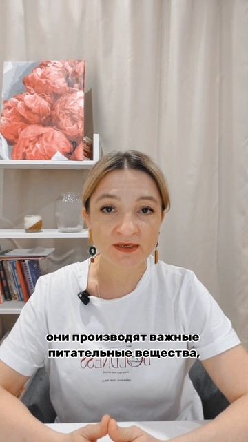 Зачем нужны хорошие бактерии в кишечнике