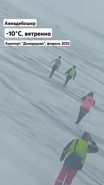 Прохлады аэропорта Домодедово Вам в ленту