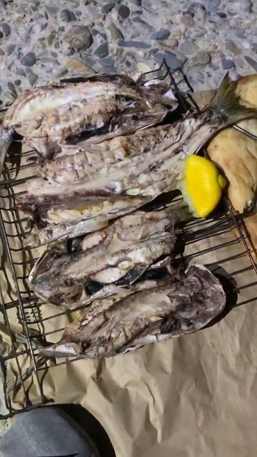 Морская рыба (Лобан )