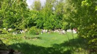 Брыкин бор, пасека