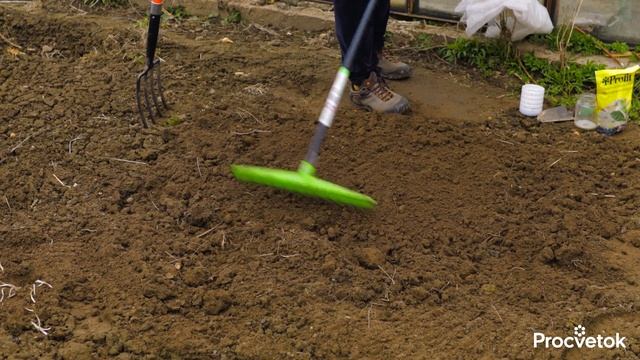 ПОСЕЙТЕ ЭТИ ЦВЕТЫ СРАЗУ В ГРУНТ, и уже в июне у вас будет клумба невероятной красоты
