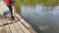 Дуплет.Спортзона