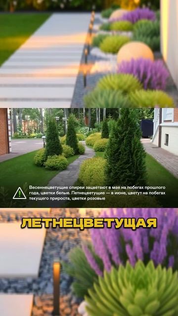 Эти 3 Растения Не Сажают Вдоль Дорожек (а зря!)🌷🤫
