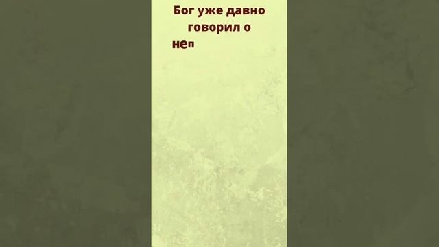 IMG_20250512_082720_039.mp4