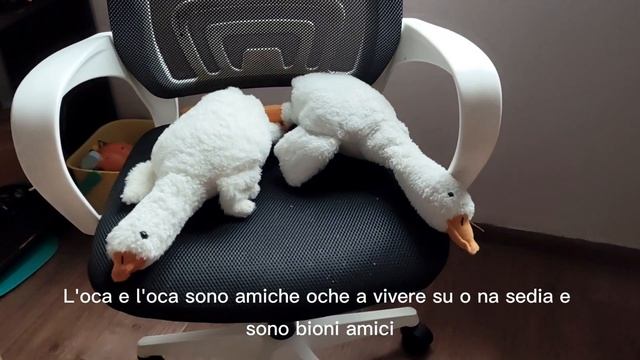 L'oca e l'oca sono amiche