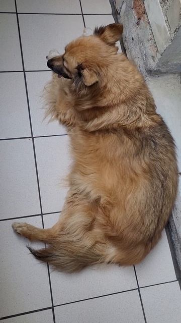 8 июня 2024 г. Белка 🐶 Наша погода👍