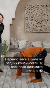 Перенос веса в шаге от задних конечностей 🐕 волновая