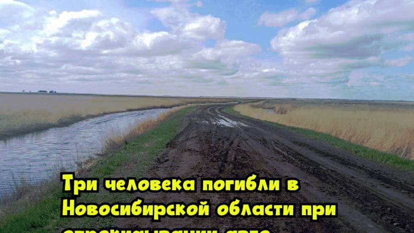 Три человека погибли в Новосибирской области при опрокидывании авто