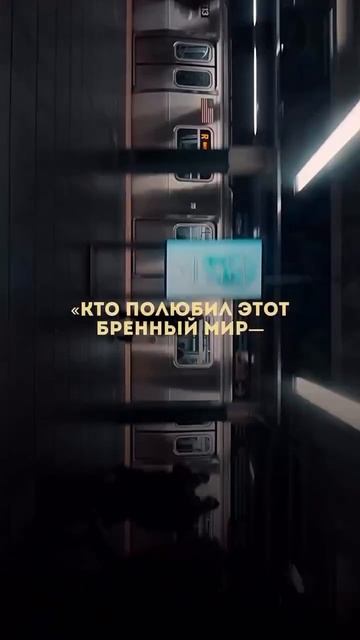 Мирская жизнь всего лишь потеха !