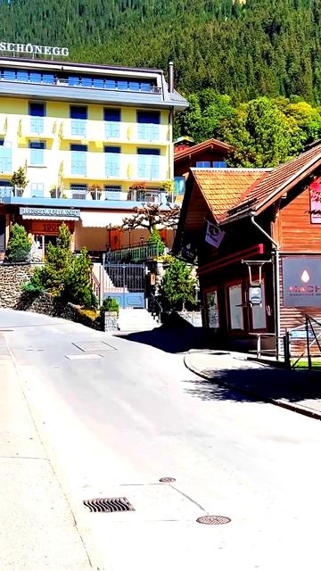 Камера зафиксировала мгновение